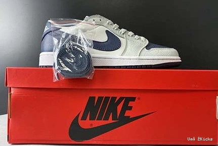 Nike 1 Jordan 3250 CW8576- 223 SmartChoice Air Low 0727